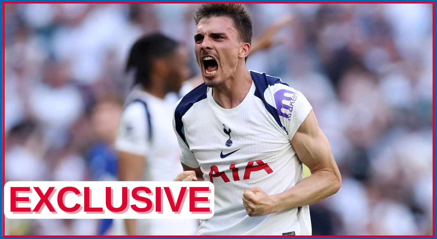 Joao Palhinha celebrates Tottenham goal